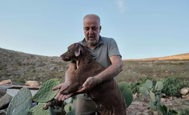 Hussein Hamza, carries a dog missing a limb, and left behind by his owners after they fled following the outbreak of the latest Israel-Hezbollah war, at his animal shelter in the village of Kfaroue, near Nabatiyeh, southern Lebanon, Thursday, July 2, 2026. (AP Photo/Bilal Hussein)
