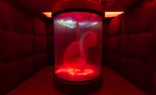 A fetal figure is displayed in an installation by artist Jonathan Elkies in the Resilience Department during the "Hospital of Emotions" exhibition inside a former hospital building in Los Angeles, Wednesday, July 22, 2026. (AP Photo/Jae C. Hong)