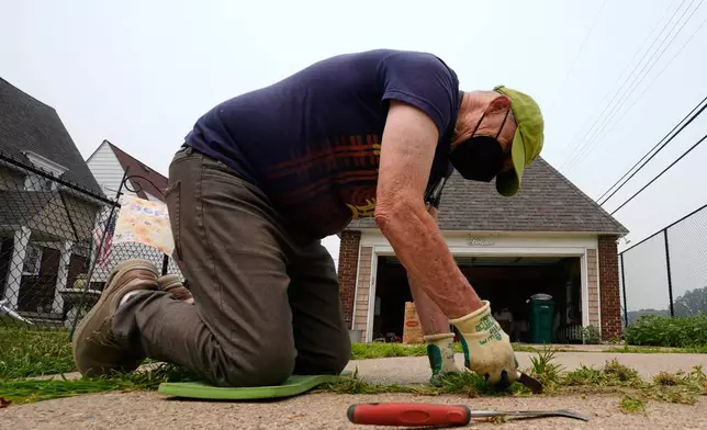 Michael Lesperance weeds his driveway wearing a mask during poor air quality due to smoke from Canadian wildfires Thursday, July 16, 2026, in Grosse Pointe Park, Mich.. (AP Photo/Paul Sancya)
