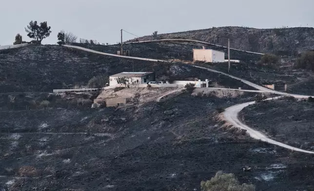A view of a burnt area affected by wildfires in Bedar, near Almeria, Spain, Saturday, July 11, 2026. (AP Photo/Gregorio Marrero)