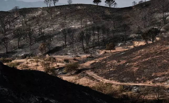 A view of a burnt area affected by wildfires in Bedar, near Almeria, Spain, Saturday, July 11, 2026. (AP Photo/Gregorio Marrero)