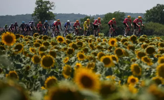 Norway's Torstein Traeen, wearing the overall leader's yellow jersey, center, rides with the pack during the fifth stage of the Tour de France cycling race over 158.3 kilometers (98.1 miles) with start in Lannemezan and finish in Pau, France, Wednesday, July 8, 2026. (AP Photo/Mosa'ab Elshamy)