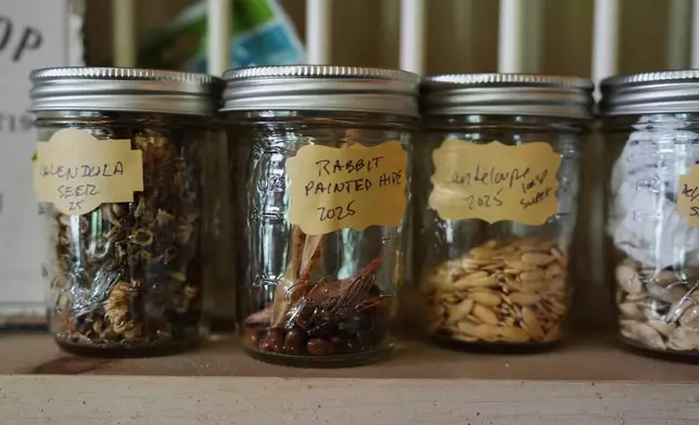 Seeds sit in jars on a shelf Tuesday, April 21, 2026, at a farm in Hopkinton, R.I. (AP Photo/Joshua A. Bickel)