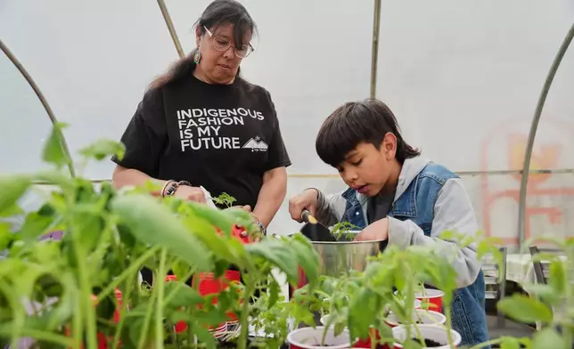 Dawn Spears, left, and her grandson, Giizhig, 9, right, prepare tomatoes for planting Tuesday, April 21, 2026, at a farm in Hopkinton, R.I. (AP Photo/Joshua A. Bickel)