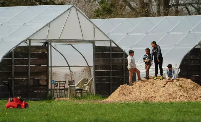 Sowaniu Spears, from left, Tishominko Spears, Quinobeguin Spears Fulton and Giizhig Spears, play at their grandparents' farm Tuesday, April 21, 2026, in Hopkinton, R.I. (AP Photo/Joshua A. Bickel)