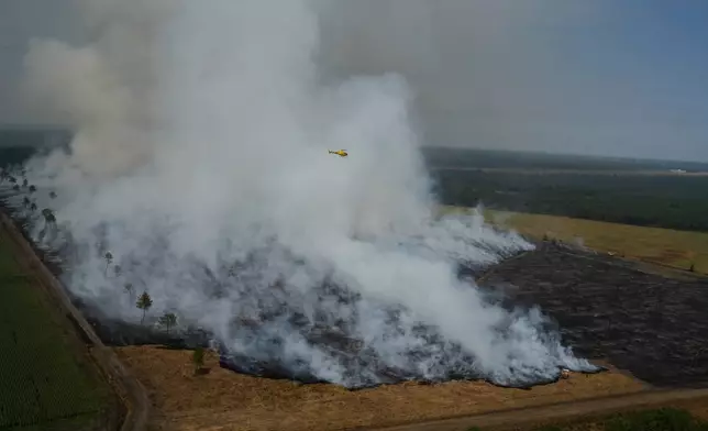FILE - A wildfire burns near near Ares, France, July 28, 2026. (AP Photo/Baz Ratner, Pool, File)