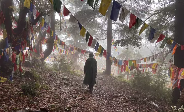 A man walks in the rain next to rows of Tibetan Buddhist prayer flags strung above a mountain trail in Dharamshala, India, Tuesday, July 7, 2026. (AP Photo/Ashwini Bhatia)