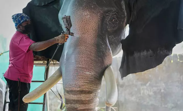 A worker sprays paint on a robotic elephant at a backyard workshop in Chalakudy, in the southern Indian state of Kerala, Friday, May 22, 2026. (AP Photo/Aijaz Rahi)