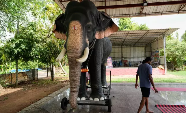 Prasanth Prakashan, a mechanical engineer, walks past a robotic elephant manufactured by him that stands inside the compound of Cheekamundi Sri Mahavishnu Temple in Thrissur, in the southern Indian state of Kerala, Friday, May 22, 2026. (AP Photo/Aijaz Rahi)