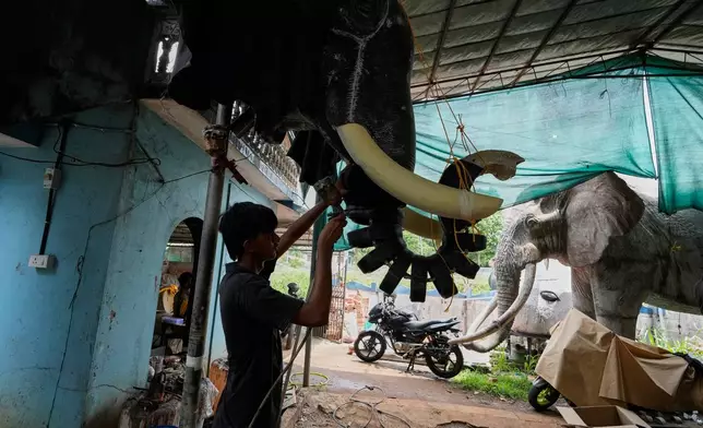 A worker sprays a chemical on the trunk of a robotic elephant at a backyard workshop in Chalakudy, in the southern Indian state of Kerala, Friday, May 22, 2026. (AP Photo/Aijaz Rahi)