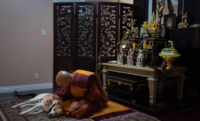 Bhikkhu Pannakara, a Buddhist monk who led a Walk for Peace from Fort Worth, Texas, to Washington, D.C., pets his dog, Aloka, while waiting for an event to start in the North Hollywood section of Los Angeles, Monday, July 13, 2026. (AP Photo/Jae C. Hong)