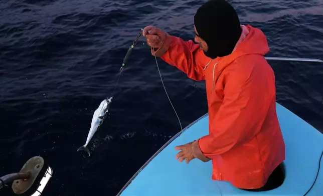 Fisherman Photis Gaitanos catches a toadfish while fishing from his boat off the coast of Larnaca, Cyprus, in the eastern Mediterranean, early Saturday, Dec. 20, 2025. (AP Photo/Petros Karadjias)
