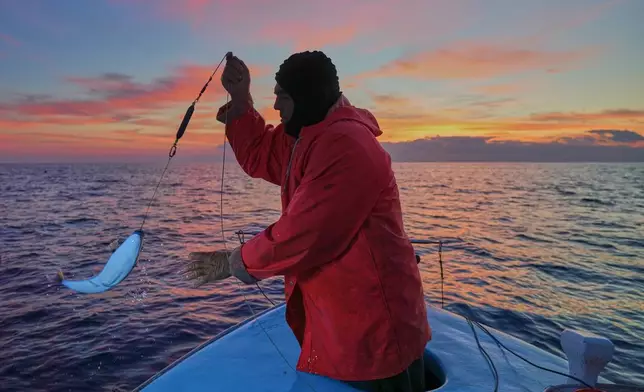 Fisherman Photis Gaitanos catches a toadfish while fishing from his boat off the coast of Larnaca, Cyprus, in the eastern Mediterranean, early Saturday, Dec. 20, 2025. (AP Photo/Petros Karadjias)