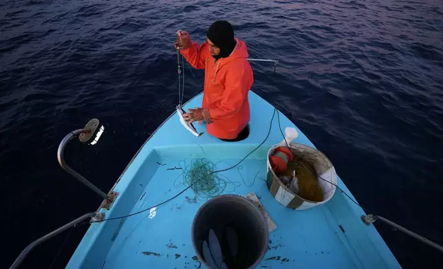 Fisherman Photis Gaitanos catches a toadfish while fishing from his boat off the coast of Larnaca, Cyprus, in the eastern Mediterranean, early Saturday, Dec. 20, 2025. (AP Photo/Petros Karadjias)