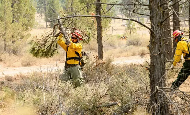 Firefighters clear vegetation as the Akawa Butte fire approaches on Friday, July 24, 2026, near Sisters, Ore. (AP Photo/Noah Berger)