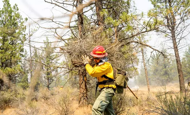 A firefighter clears vegetation as the Akawa Butte fire approaches on Friday, July 24, 2026, near Sisters, Ore. (AP Photo/Noah Berger)