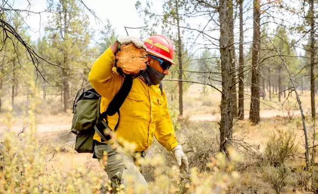 A firefighter clears vegetation as the Akawa Butte fire approaches on Friday, July 24, 2026, near Sisters, Ore. (AP Photo/Noah Berger)