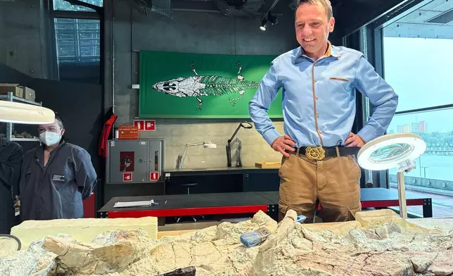 Scientist Tomasz Sulej, from the Institute of Paleobiology at the Polish Academy of Sciences, inspects the skeleton of a mastodonsaurus, a huge amphibian that walked the Earth 240 million years ago, at the Copernicus Science Center in Warsaw, Poland, Tuesday, July 21, 2026. (AP Photo/Claudia Ciobanu)