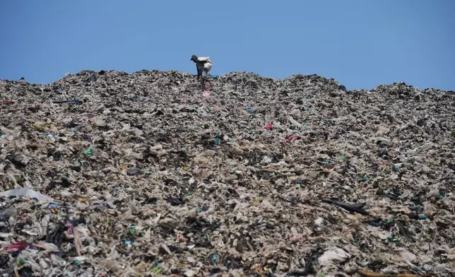 A waste picker looks for recyclable items in a pile of garbage at the Bantargebang landfill on the outskirts of Jakarta, Indonesia, Monday, July 6, 2026. (AP Photo/Tatan Syuflana)
