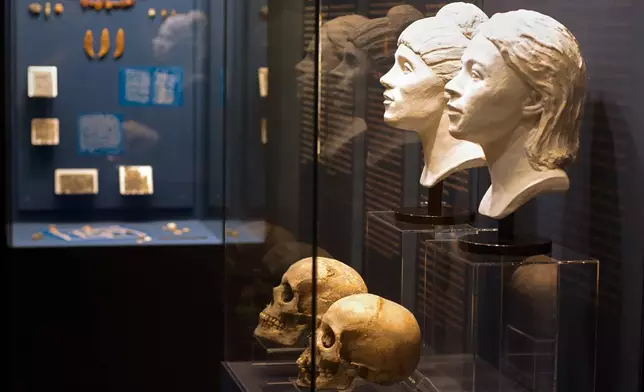 Roman-era skulls and their facial reconstructions are on display at the Aquincum Museum's exhibition titled "Once we were like you" which showcases characters and the fictional life stories of those who once lived in the bustling Roman settlement of Aquincum, in Budapest, Hungary, Tuesday, July 7, 2026. (AP Photo/Bela Szandelszky)