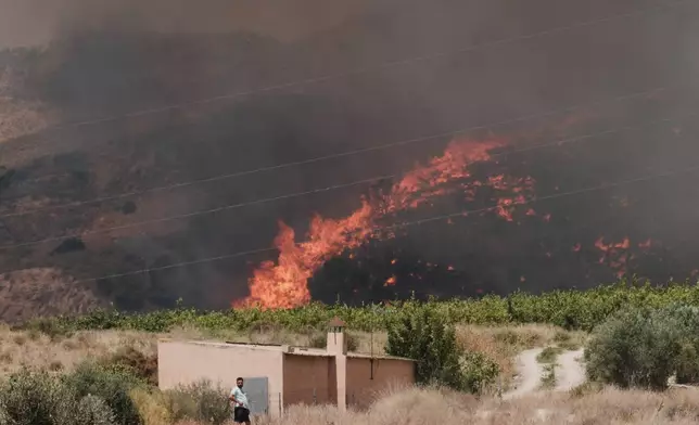 A wildfire rages in Alfajir, near Almeria in southeastern Spain, Friday, July 10, 2026. (AP Photo/Gregorio Marrero)