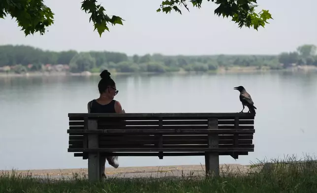 A woman and crow sit in shadow on the bank of the Danube River in Belgrade, Serbia, Tuesday, June 30, 2026. (AP Photo/Darko Vojinovic)