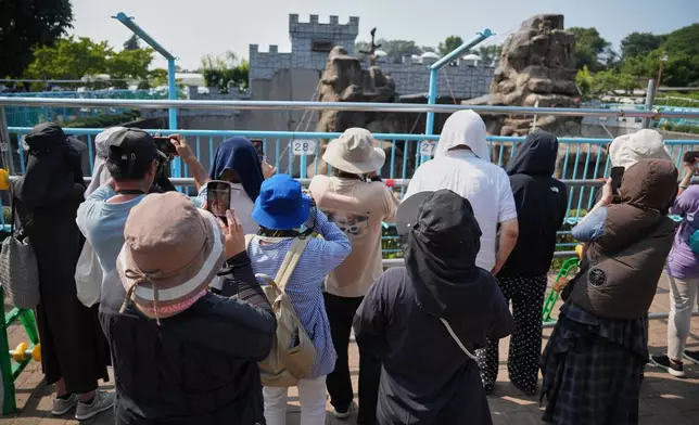 Visitors gather to watch Punch, a young Japanese macaque, at the Ichikawa City Zoological and Botanical Garden in Ichikawa, east of Tokyo, Thursday, July 23, 2026. (AP Photo/Eugene Hoshiko)
