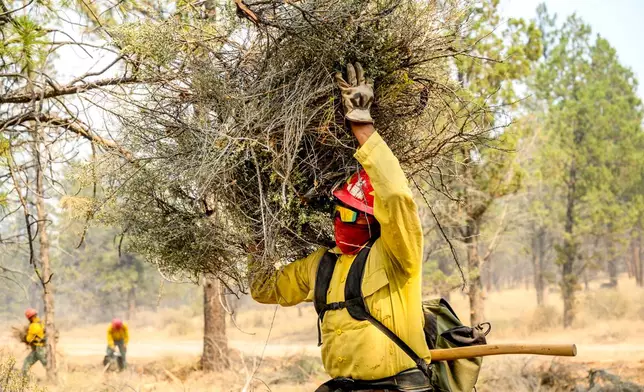 A firefighter clears vegetation as the Akawa Butte fire approaches on Friday, July 24, 2026, near Sisters, Ore. (AP Photo/Noah Berger)
