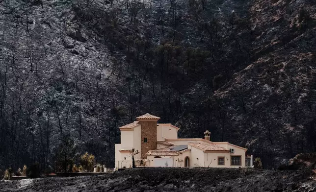 A view of a burnt area affected by wildfires in Bedar, near Almeria, Spain, Saturday, July 11, 2026. (AP Photo/Gregorio Marrero)