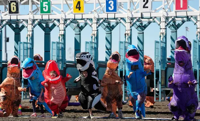 Racers take off from the starting gates during a kids' race during the T-Rex World Championship Races at Emerald Downs, Sunday, July 12, 2026, in Auburn, Wash. (AP Photo/Lindsey Wasson)
