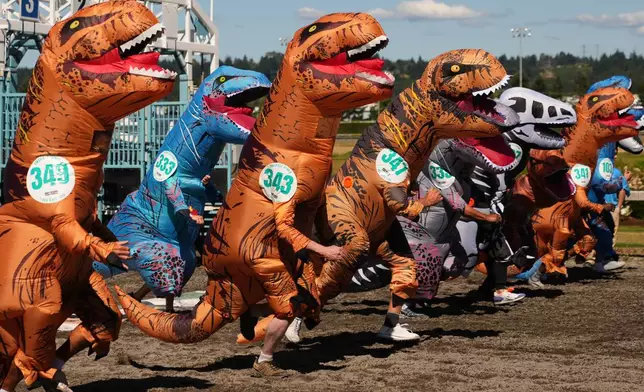 Racers in the men's over 55 heat run out of the starting gates during the T-Rex World Championship Races at Emerald Downs, Sunday, July 12, 2026, in Auburn, Wash. (AP Photo/Lindsey Wasson)