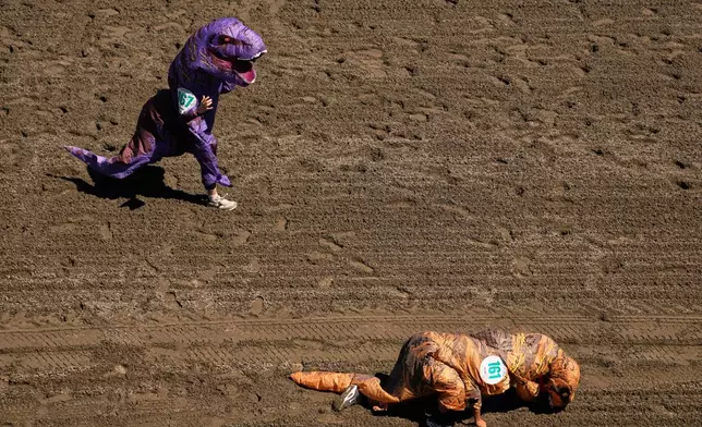 A participant face-plants while running in the preliminary heats during the T-Rex World Championship Races at Emerald Downs, Sunday, July 12, 2026, in Auburn, Wash. (AP Photo/Lindsey Wasson)