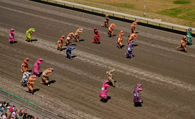 Dozens of racers in inflatable costumes sprint down the track in a preliminary heat during the T-Rex World Championship Races at Emerald Downs, Sunday, July 12, 2026, in Auburn, Wash. (AP Photo/Lindsey Wasson)