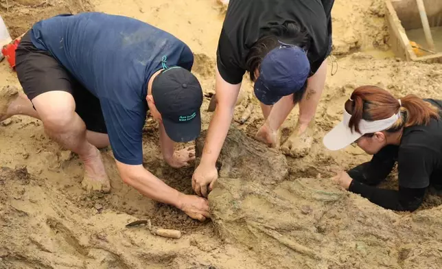 In this photo released by The Fine Arts Department, archaeologists are pictured with human bones during an ongoing dig at the Don Yai Thong archeological site in Phetchaburi province, Thailand Thursday, July 2, 2026. (The Fine Arts Department via AP)