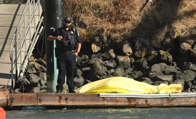 A body is covered with a tarp on a dock near the site of boat accident on Tuesday, July 14, 2026, in San Francisco. (AP Photo/Noah Berger)