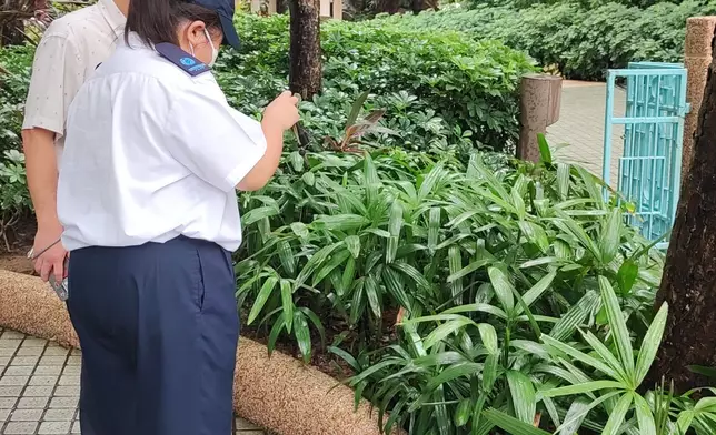 FEHD releases third batch of gravidtrap indexes for Aedes albopictus in July Source: HKSAR Government Press Releases