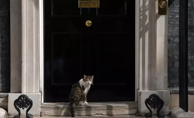Larry the cat, Chief Mouser to the Cabinet Office, sits on the doorstep to No10 Downing Street as Labour Party leader Andy Burnham is set to become the U.K.'s new prime minister on Monday, succeeding Keir Starmer in London, Monday, July 20, 2026.(AP Photo/Kirsty Wigglesworth)