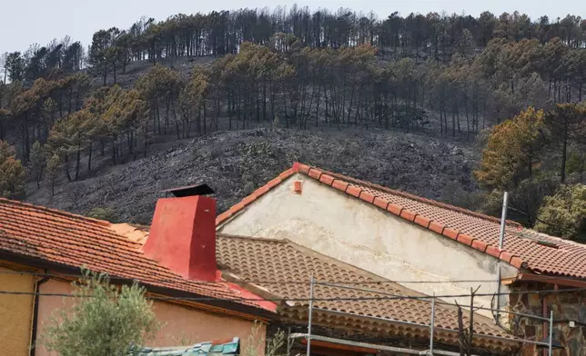 View of the burned area in Muriel, Guadalajara province, Spain, Wednesday, July 22, 2026, after a wildfire scorched tens of thousands of hectares in one of Spain's largest wildfires in recent years. (AP Photo/Manu Fernandez)