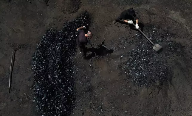 Brothers Immo and Sascha Feldmer harvest a mound of earth at their family-run, traditional charcoal production site near Hasselfelde in Germany's Harz forest, Saturday, July 11, 2026. (AP Photo/Matthias Schrader)