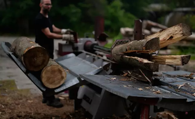 Sascha Feldmer splits beech wood for the traditional production of charcoal at his family-run business near Hasselfelde in Germany's Harz forest, Wednesday, June 10, 2026. (AP Photo/Matthias Schrader)