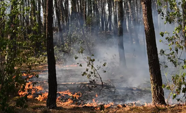 A fire burns in a forest near Claouey, during wildfires in southwestern France, Wednesday, July 29, 2026. (AP Photo/Emma Da Silva)