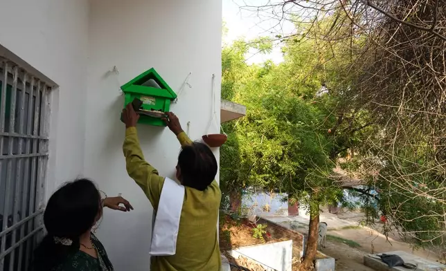 Bird conservationist Shobharam Kashyap installs a wooden birdhouse for sparrows during a heat wave in Banda, northern Indian state of Utter Pradesh, Saturday, June 20, 2026. (AP Photo/Rajesh Kumar Singh)