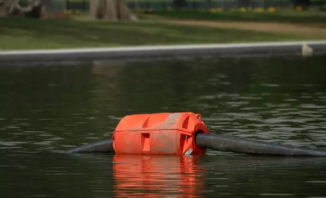 A length of hose supported by a float is pictured in the Lincoln Memorial Reflecting Pool, Friday, July 10, 2026, in Washington. (AP Photo/Mark Schiefelbein)