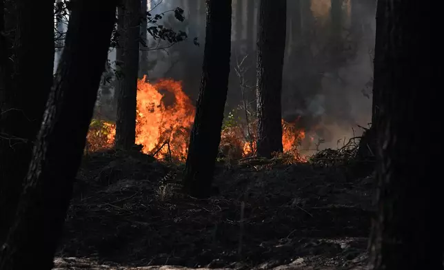 A fire burns in the forest near Blagon, during wildfires in southwestern France, Wednesday, July 29, 2026. (AP Photo/Emma Da Silva)