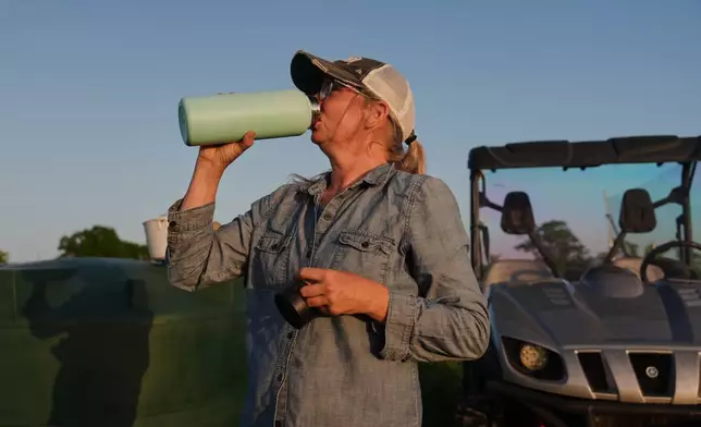 Annie Woods takes a drink of water while harvesting Wednesday, July 1, 2026, at her farm in Brooksville, Ky. (AP Photo/Joshua A. Bickel)