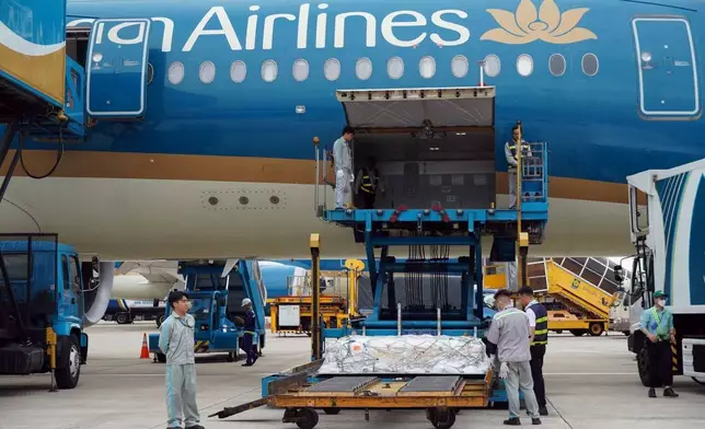 Bodies of victims of Indian tourists killed in a boat accident are loaded onto an aircraft to be taken back to India, in Ho Chi Minh City, Vietnam, Monday, July 13, 2026. (Nguyen Xuan Khu/VNA via AP)