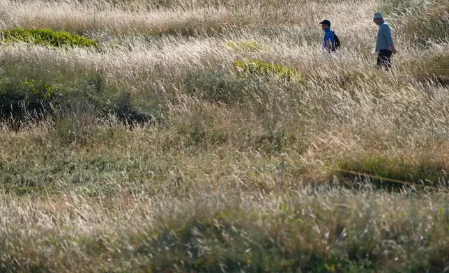 Spectators walk along a path with long grass either side as they watch a practice round for the British Open Golf championships at Royal Birkdale golf club, in Southport, England, Monday, July 13, 2026. (AP Photo/David Goldman)