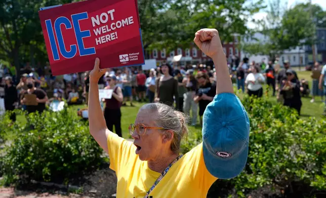Protesters gather at a park near the scene of a shooting involving U.S. Immigration and Customs Enforcement, Monday, July 13, 2026 in Biddeford, Maine. (AP Photo/Robert F. Bukaty)