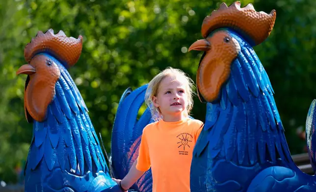 Pyper Leblanc examines a pair of tin roosters after they were set up at the Hilton Winn Farm in Ogunquit, Maine, Wednesday, July 22, 2026. (AP Photo/Robert F. Bukaty)