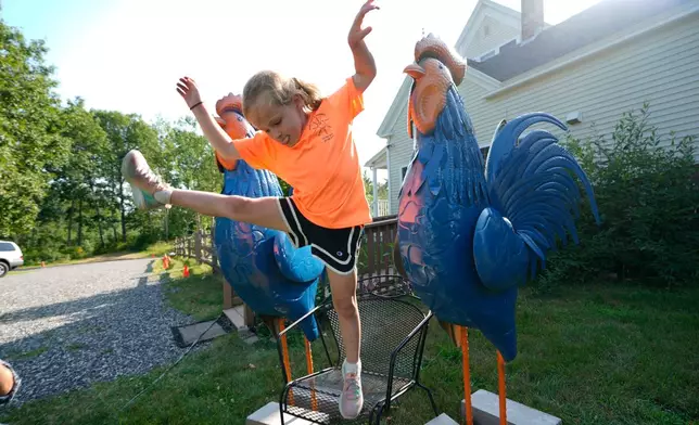 Pyper Leblanc plays by two tin roosters displayed at the Hilton Winn Farm in Ogunquit, Maine, Wednesday, July 22, 2026. (AP Photo/Robert F. Bukaty)